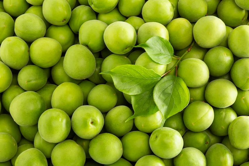 매실 효능과 부작용 : 피로 회복 돕는 5가지 이득과 안전한 독소 제거 섭취법