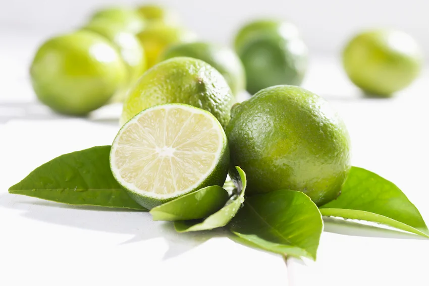 하얀 배경 위에 놓인 초록색 잎사귀와 싱싱한 통라임 및 과즙이 보이는 라임 단면