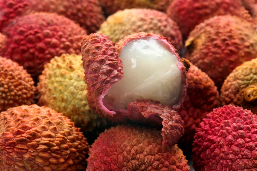 오돌토돌한 돌기가 돋아난 선명하고 붉은색의 리치 껍질들이 화면을 가득 채우고 있는 신선한 열대과일 리치 더미