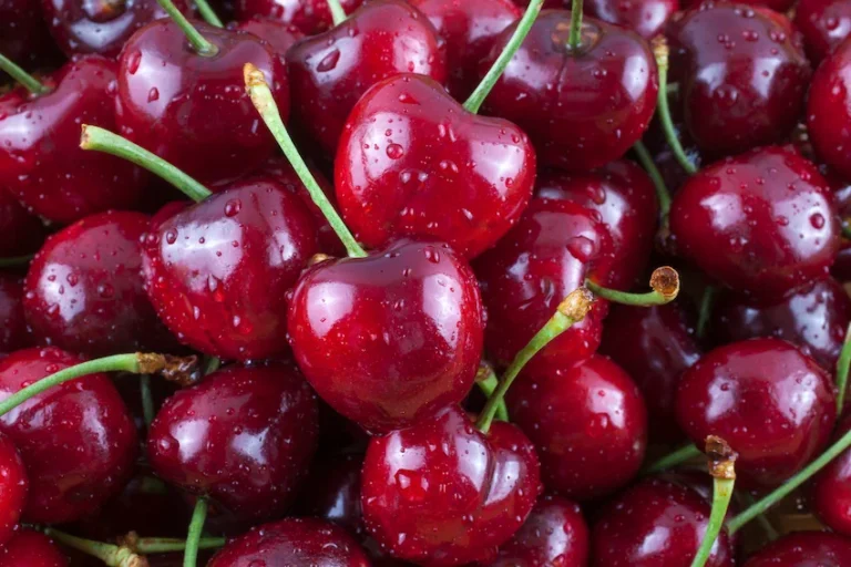 체리 효능과 보관법 : 불면증과 염증 완화 돕는 5가지 핵심 효능 (천연 멜라토닌 가이드)