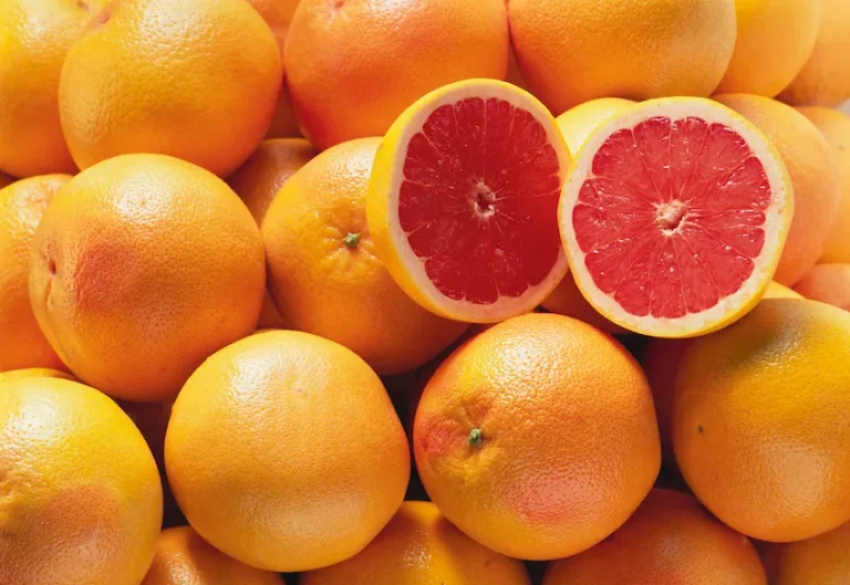 자몽 효능과 주의점 : 다이어트와 간 해독을 돕는 5가지 핵심 효능 (약물 복용 시 주의사항)