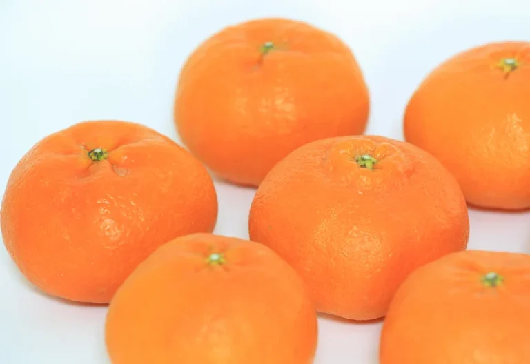 레드향 효능과 보관법 : 면역력과 피부 미용 돕는 5가지 핵심 효능 (명품 만감류 가이드)