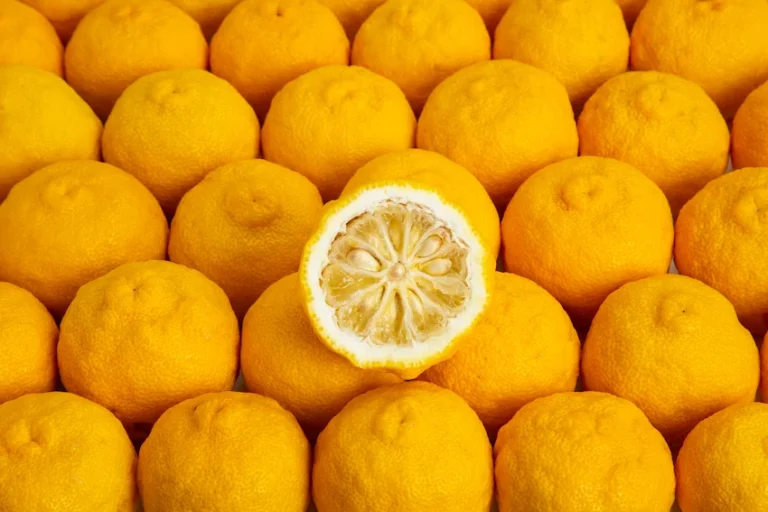 유자 효능과 보관법: 레몬보다 3배 많은 비타민 C, 감기 예방과 피부 미용을 위한 완벽 가이드
