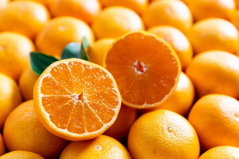 오렌지 효능과 보관법 : 5가지 주요 효능과 실패 없는 맛있는 오렌지 선별 및 보관 노하우