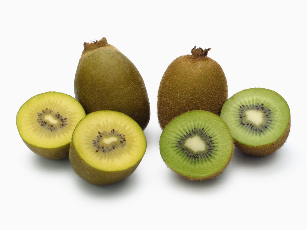 키위 효능과 신선한 보관 세척법