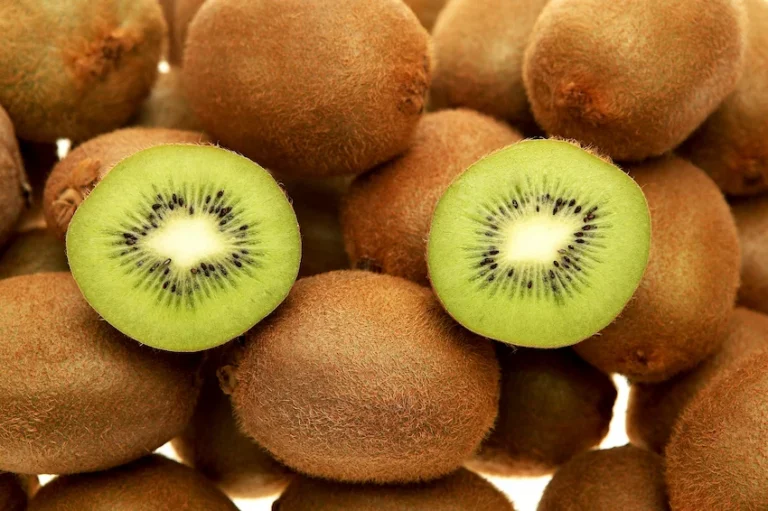 키위 효능과 신선한 보관 세척법: 5가지 주요 효능과 신선함을 오래 유지하는 올바른 저장 노하우