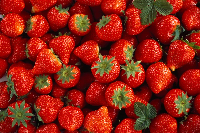 딸기 효능과 신선한 보관 세척법: 5가지 주요 효능과 영양 손실 없이 오래 즐기는 신선한 보관 노하우