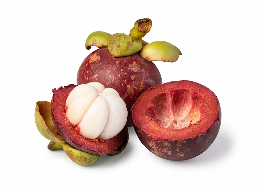 하얀 접시 위, 짙은 자줏빛 껍질 속에 마늘 육쪽처럼 갈라진 하얗고 싱싱한 망고스틴 과육 단면과 먹기 좋게 손질된 과육 조각들