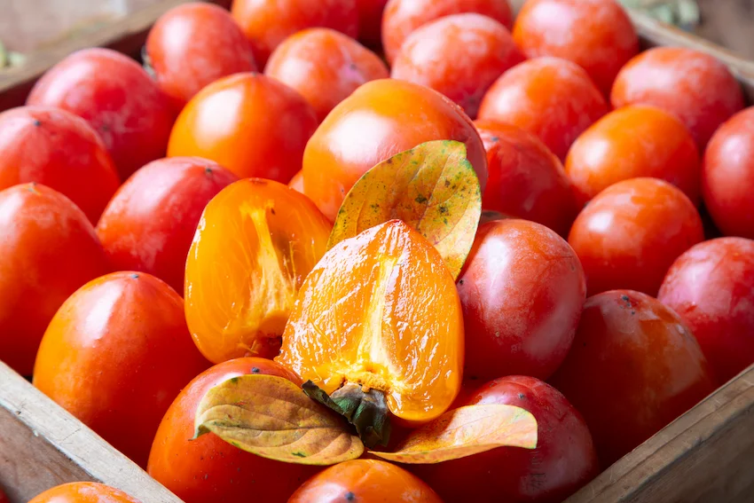 홍시 효능과 보관법 : ‘겨울철 천연 설탕’ 5가지 이득과 오래 두고 먹는 완벽 냉동 팁
