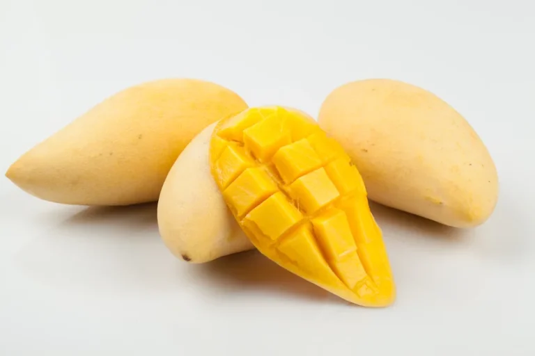 망고 효능과 신선한 보관 세척법: ‘천연 비타민’ 5가지 이득과 당도를 극대화하는 완벽 후숙 팁 망고 효능과 신선한 보관 세척법: ‘천연 비타민’ 5가지 이득과 당도를 극대화하는 완벽 후숙 팁