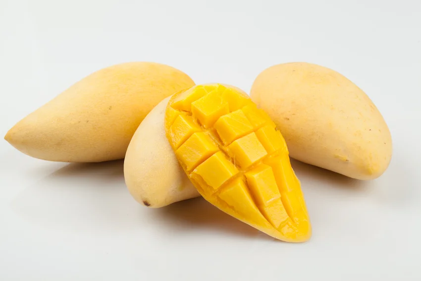 깨끗한 흰색 배경 위에 놓인 두 개의 통망고와 먹기 좋게 격자 모양으로 칼집을 낸 망고 한 조각