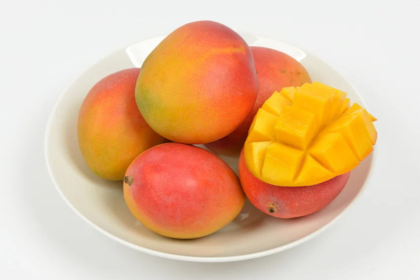 하얀 그릇에 가득 담긴 빨갛게 익은 애플망고들과 먹기 좋게 격자 모양으로 손질된 애플망고 한 조각