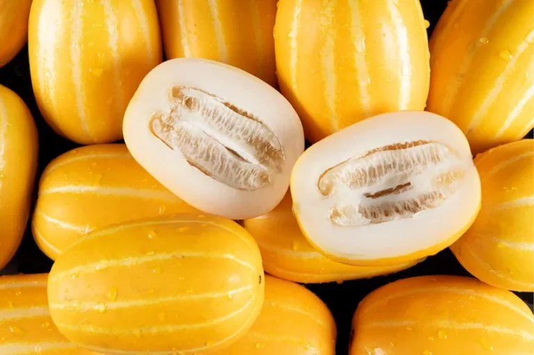 참외 효능과 부작용: 임산부 필수 ‘엽산’의 보고, 다이어트와 부종 제거를 위한 참외 가이드