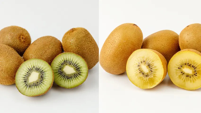 그린키위 골드키위, 왼쪽에는 선명한 초록색 속살과 검은 씨가 특징인 그린키위가, 오른쪽에는 매끈한 껍질에 노란색 속살을 가진 달콤한 골드키위가 놓인 비교 사진
