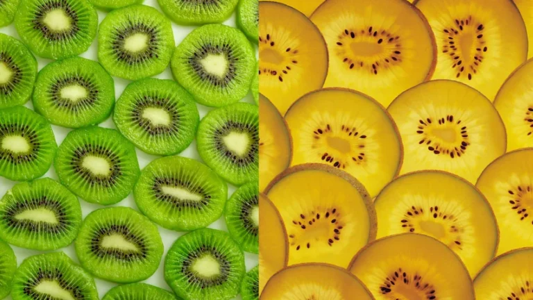 그린키위 골드키위 정밀 비교 분석: 영양학적 우위와 체질별 선택 가이드