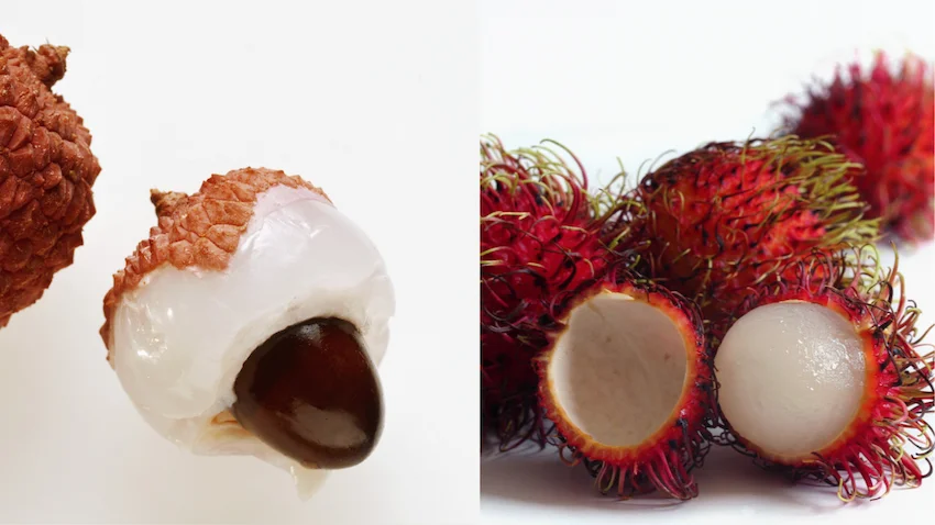 리치 람부탄 왼쪽에는 껍질을 까서 씨앗이 보이는 리치가 있고, 오른쪽에는 털이 난 껍질 속에 하얀 과육이 담긴 람부탄이 놓인 비교 사진