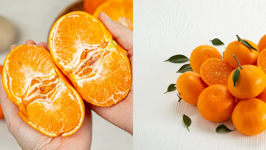 레드향 천혜향 손으로 껍질을 벗겨 속살이 드러난 레드향과 하얀 배경 위에 놓인 천혜향 묶음