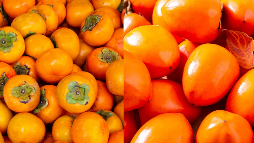 단감 홍시 완벽 비교: 가을의 축복이 빚어낸 두 가지 미학적 풍미