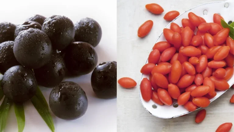 아사이베리 구기자 완벽 비교: 아마존의 활력과 동양의 불로초, 영양 데이터 분석