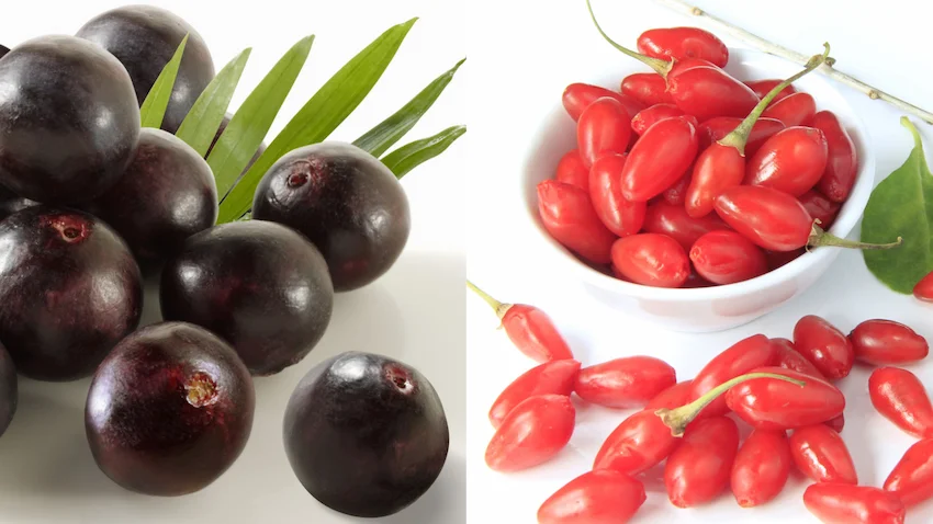 아사이베리 구기자, 왼쪽에는 짙은 보라색의 동글동글한 아사이베리들이, 오른쪽에는 선명한 붉은색의 길쭉한 구기자 열매들이 담겨 색상과 모양의 대비를 보여주는 사진