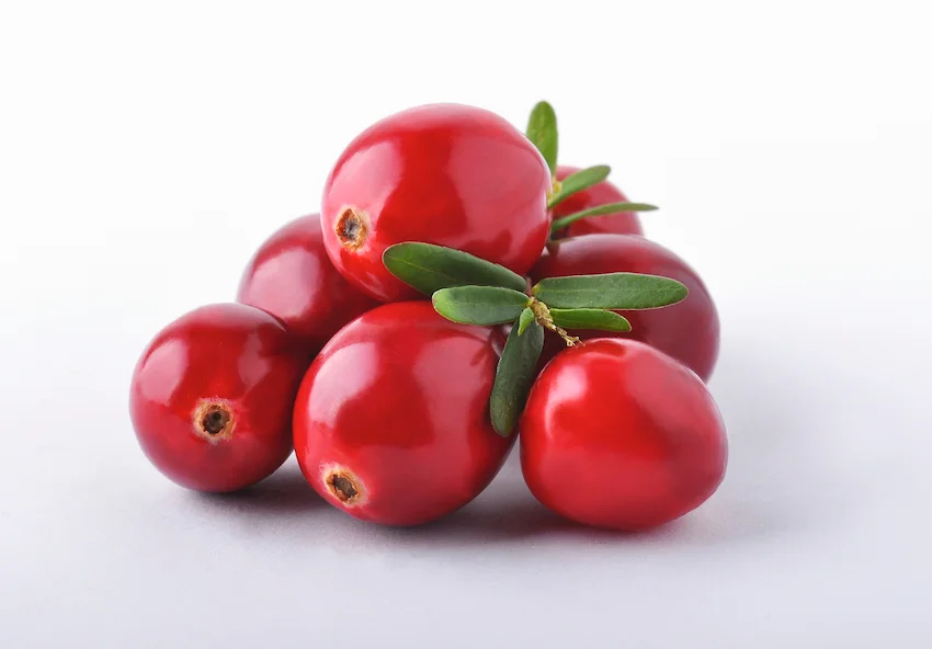 크랜베리, 흰 배경 위에 모여 있는 붉은 크랜베리 열매들과 그 사이에 꽂혀 있는 초록색 잎사귀 연출 사진