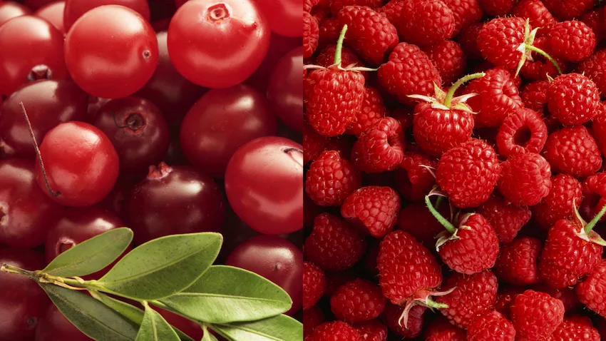 크랜베리 라즈베리 완벽 비교: 방광 건강의 수호자와 다이어트의 조력자, 영양 데이터 분석