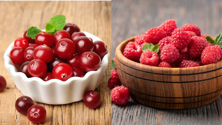 크랜베리 라즈베리, 왼쪽에는 표면이 매끄럽고 단단한 원형의 크랜베리들이, 오른쪽에는 작은 알갱이가 뭉쳐져 있고 가운데가 비어 있는 형태의 부드러운 라즈베리들이 대조를 이루는 사진