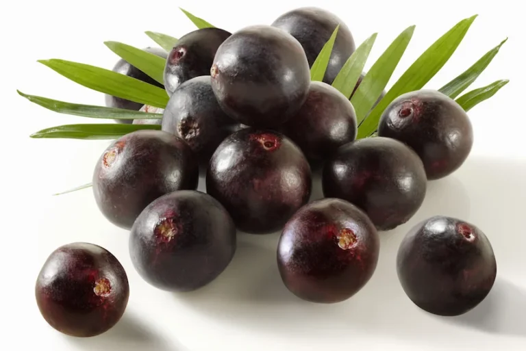 아사이베리 효능과 먹는 법: 아마존의 생명력을 담은 ‘지구상의 가장 완벽한 슈퍼푸드’ 아사이베리 효능과 먹는 법: 아마존의 생명력을 담은 ‘지구상의 가장 완벽한 슈퍼푸드’