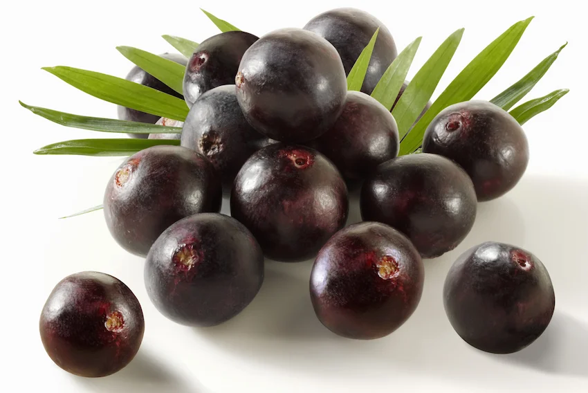 아사이베리 효능과 먹는 법: 아마존의 생명력을 담은 ‘지구상의 가장 완벽한 슈퍼푸드’