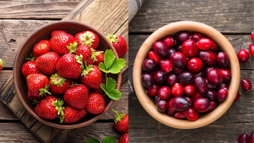 딸기 크랜베리, 왼쪽에는 큼직하고 겉면에 씨가 박힌 선명한 붉은 딸기들이, 오른쪽에는 매끈하고 동글동글한 작은 크랜베리 열매들이 담겨 대조를 이루는 비교 사진