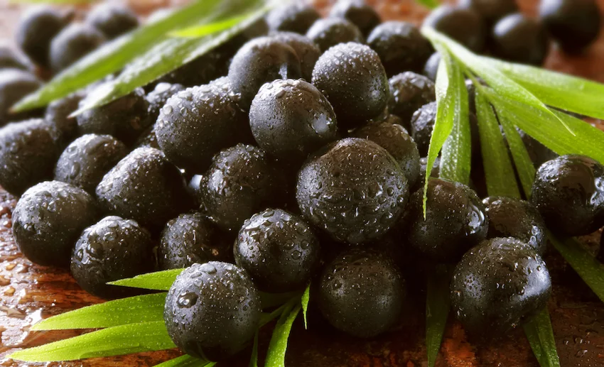 아사이베리, 표면의 질감이 잘 드러나는 작은 포도알 모양의 검은색 아사이베리 열매들이 한데 모여 쌓여 있는 근접 사진