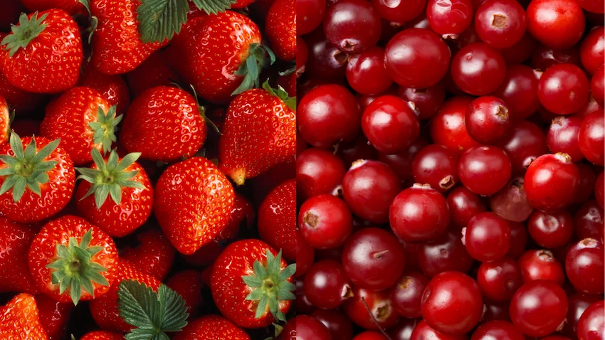 딸기 크랜베리 완벽 비교: 비타민 C의 여왕과 방광 건강의 수호자, 영양 데이터 분석